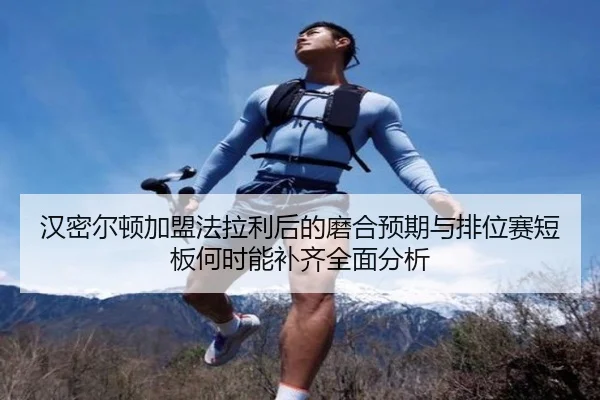 han-mi-er-dun-jia-meng-fa-la-li-hou-de-mo-he-yu-qi-yu-pai-wei-sai-duan-ban-he-shi-neng-bu-qi-quan-mian-fen-xi-2-512.jpg
